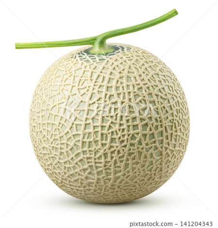 Realistic Melon Illustration on a White Background 141204343