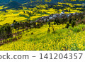 Yellow rapeseed (canola) flower field in spring, Luoping, China 141204357