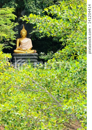 A golden Buddha statue in a forest at a temple in Thailand. A golden Buddha statue in a forest at a temple in Thailand. 141204414
