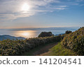 Evening view of a trekking course near Mt. Daruma in Izu City, Shizuoka Prefecture, May 2026. 141204541
