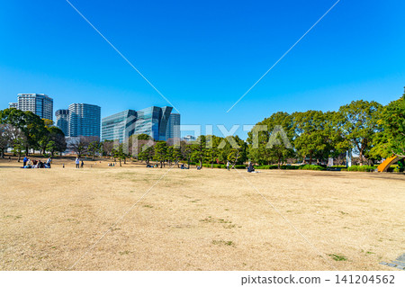 【神奈川縣】橫濱港未來林湖公園,碧空如洗 【神奈川縣】橫濱港未來林湖公園,碧空如洗 141204562