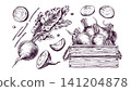 Beetroot and beet slices in wooden crate. Hand drawn ink engraving illustration of organic vegetable. Agricultural harvest concept, farming food product for healthy nutrition menu design. 141204878