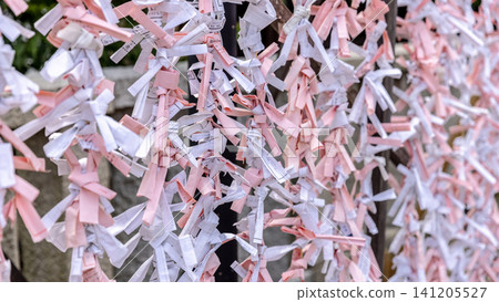 Omikuji fortune slips hanging at shinto shrine Omikuji fortune slips hanging at shinto shrine 141205527