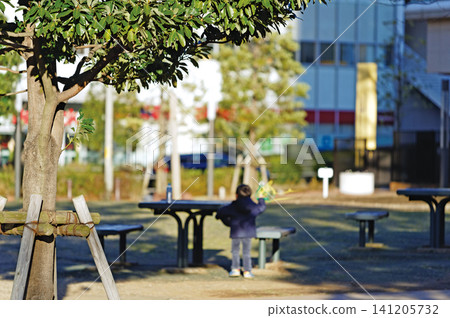 Plane Tree Park 141205732