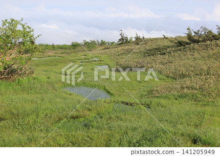 Scenery of a high-altitude wetland Scenery of a high-altitude wetland 141205949