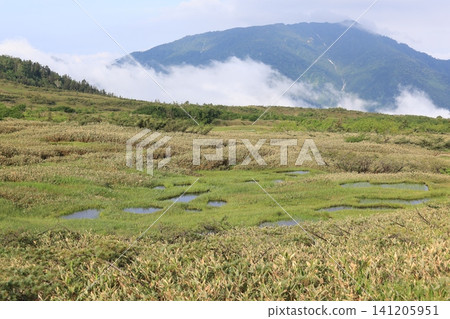 Scenery of a high-altitude wetland Scenery of a high-altitude wetland 141205951