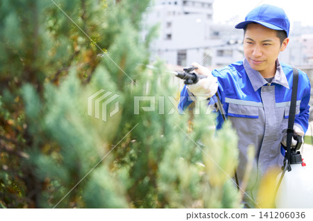 Workers spraying pesticides to control pests on garden trees. Workers spraying pesticides to control pests on garden trees. 141206036