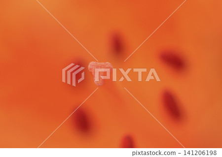 The stamens of a trumpet lily blooming along the coast The stamens of a trumpet lily blooming along the coast 141206198