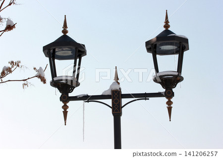A street lamp in a public park A street lamp in a public park 141206257