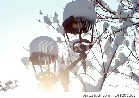 A street lamp in a public park A street lamp in a public park 141206262