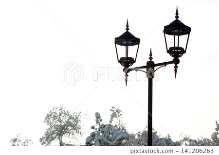 A street lamp in a public park A street lamp in a public park 141206263