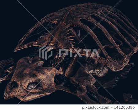 Archelon fossil: Skull and shell of a giant sea turtle Archelon fossil: Skull and shell of a giant sea turtle 141206390