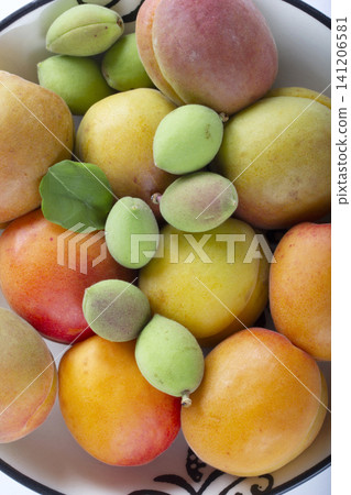 green fresh apricots and ripe apricots in the plate green fresh apricots and ripe apricots in the plate 141206581