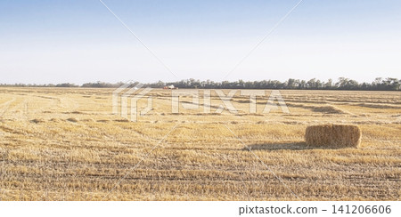 Hay bales on a harvested agricultural field. Landscape with a harvested wheat field with hay bales in the countryside against a blue sky. Hay bales on a harvested agricultural field. Landscape with a harvested wheat field with hay bales in the countryside against a blue sky. 141206606