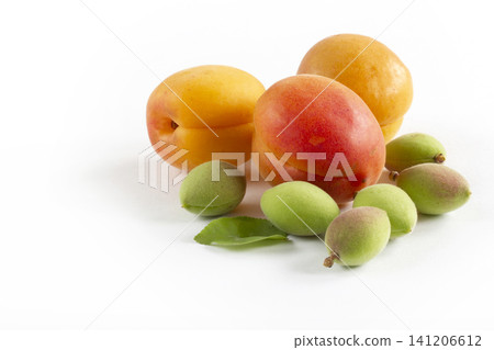 Green fresh apricots and ripe apricots on a white background Green fresh apricots and ripe apricots on a white background 141206612