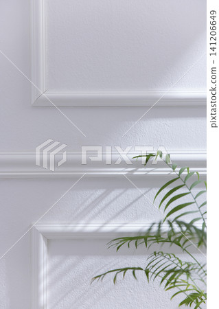 Elegant White Wainscoting Wall Background with Natural Sunlight and Green Plant Elegant White Wainscoting Wall Background with Natural Sunlight and Green Plant 141206649