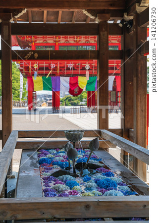 Inuyama Naritasan Temple: Hydrangea flower arrangement in a water basin and wind chimes (Inuyama City, Aichi Prefecture) Inuyama Naritasan Temple: Hydrangea flower arrangement in a water basin and wind chimes (Inuyama City, Aichi Prefecture) 141206730