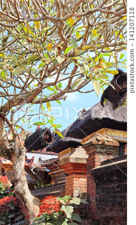Handcrafted coconut husk bee house in traditional Balinese style hanging from a frangipani tree, providing habitat for native bees within the tranquil surroundings of a historic temple garden. Handcrafted coconut husk bee house in traditional Balinese style hanging from a frangipani tree, providing habitat for native bees within the tranquil surroundings of a historic temple garden. 141207118