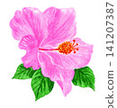 Hibiscus painted in watercolor (26713 pixels) 141207387