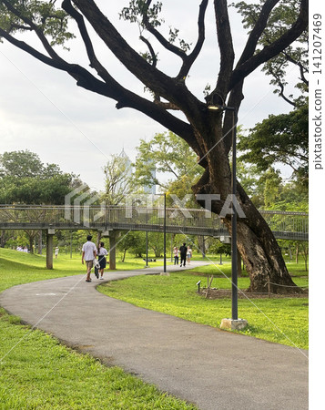 Bangkok, Thailand - May 28, 2026 : Unidentified people enjoy activities at Benchakitti forest park in Bangkok, Thailand on May 28, 2026. Benchakitti Forest Park is new landmark of Bangkok where nature Bangkok, Thailand - May 28, 2026 : Unidentified people enjoy activities at Benchakitti forest park in Bangkok, Thailand on May 28, 2026. Benchakitti Forest Park is new landmark of Bangkok where nature 141207469