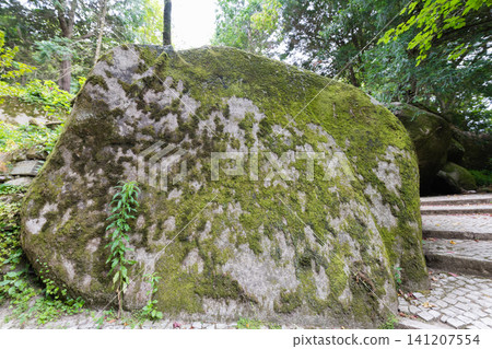 Large moss-covered rock sits among trees in a garden Large moss-covered rock sits among trees in a garden 141207554