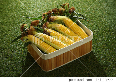 A wooden crate full of fresh corn placed on the lawn. A wooden crate full of fresh corn placed on the lawn. 141207622