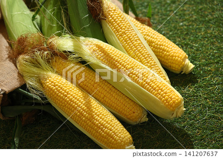 A pile of fresh corn on the lawn A pile of fresh corn on the lawn 141207637