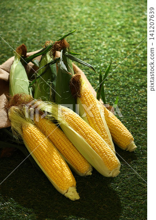 A pile of fresh corn on the lawn A pile of fresh corn on the lawn 141207639