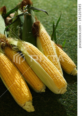 A pile of fresh corn on the lawn A pile of fresh corn on the lawn 141207645