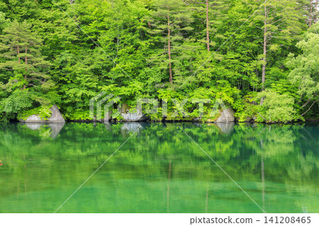 The lush greenery of the Goshikinuma Lakes and Mount Bandai The lush greenery of the Goshikinuma Lakes and Mount Bandai 141208465