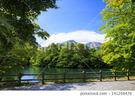 The lush greenery of the Goshikinuma Lakes and Mount Bandai The lush greenery of the Goshikinuma Lakes and Mount Bandai 141208476