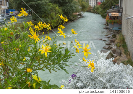 River, flowers in center of Chamonix, France River, flowers in center of Chamonix, France 141208656