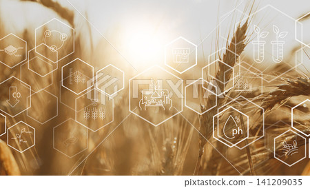 Smart farm technology enhances crop growth and management during golden hour Smart farm technology enhances crop growth and management during golden hour 141209035