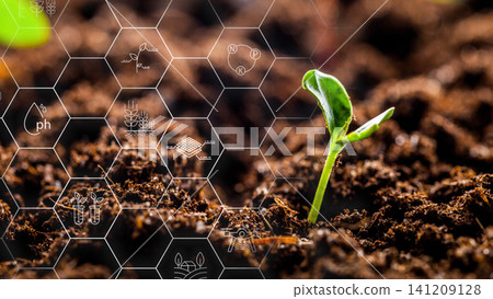 Smart farm technology allows for growth of new plants in soil with digital tools 141209128