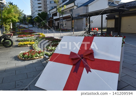 長野善光寺花廊活動花卉 長野善光寺花廊活動花卉 141209594