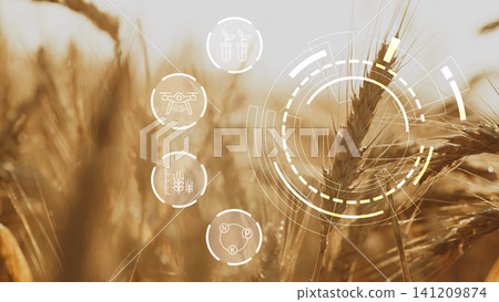 Smart farm technologies are changing how crops are grown and monitored in modern agriculture Smart farm technologies are changing how crops are grown and monitored in modern agriculture 141209874