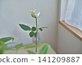 White Rose  141209887