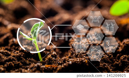 Smart farm technology supports plant growth in soil during the day with clear visuals Smart farm technology supports plant growth in soil during the day with clear visuals 141209925