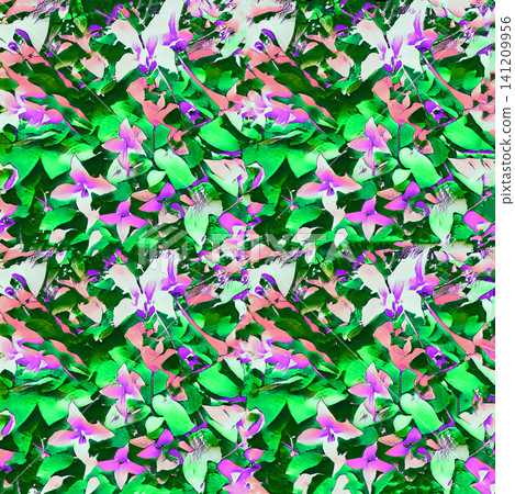 Clematis wallpaper Clematis wallpaper 141209956