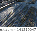 Numerous long, thin metal rebar rods are laid out on a concrete surface at a construction site. These steel bars are essential building materials used for reinforcing structures and foundations 141210047