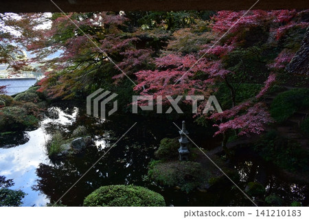 Hiroshima, Japanese garden, autumn leaves, Yoshimizu-en Hiroshima, Japanese garden, autumn leaves, Yoshimizu-en 141210183