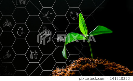 Growth of plant in smart farm with technology background showing data and information Growth of plant in smart farm with technology background showing data and information 141210233