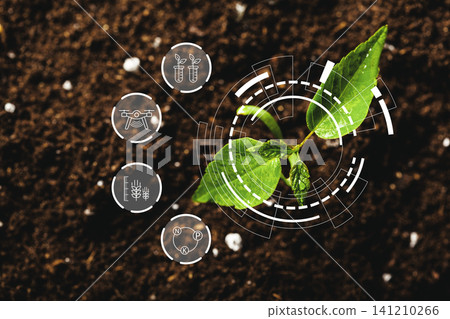 Growing plants with technology in smart farm focused on sustainable agriculture practices Growing plants with technology in smart farm focused on sustainable agriculture practices 141210266