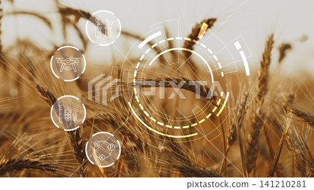 Smart farm technology and wheat field with drones in action during sunset hours Smart farm technology and wheat field with drones in action during sunset hours 141210281