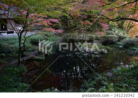 Hiroshima, Japanese garden, autumn leaves, Yoshimizu-en Hiroshima, Japanese garden, autumn leaves, Yoshimizu-en 141210342