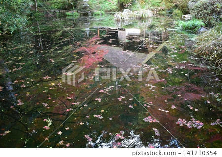 Hiroshima, Japanese garden, autumn leaves, Yoshimizu-en Hiroshima, Japanese garden, autumn leaves, Yoshimizu-en 141210354