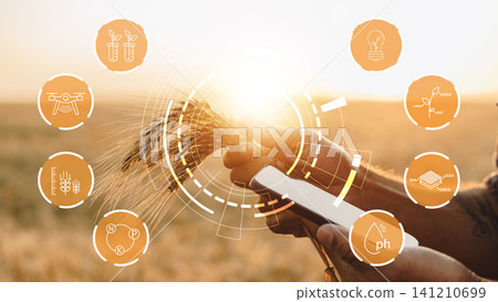 Understanding smart farming technology in agriculture during sunset Understanding smart farming technology in agriculture during sunset 141210699