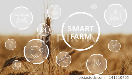 Smart farm technology improves agricultural practices in modern farming Smart farm technology improves agricultural practices in modern farming 141210705