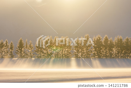 Biei and Furano, Hokkaido: Trees and snowfields shimmering with frost in the early morning during the depths of winter – a breathtaking winter scene. 141211786