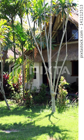 Tropical bungalow with thatched roof framed by palm trees, lush garden, sunlit lawn, shaded veranda, open doorway, and peaceful resort setting surrounded by dense greenery Tropical bungalow with thatched roof framed by palm trees, lush garden, sunlit lawn, shaded veranda, open doorway, and peaceful resort setting surrounded by dense greenery 141212513